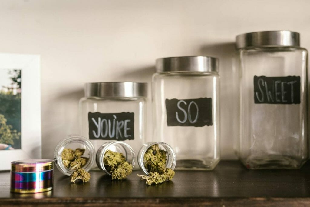 Beyond the Bud: The Role of a cannabis Dispensary in Promoting Wellness | Budderweeds Canada | Budderweeds Canada