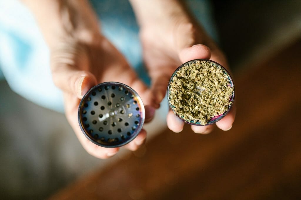 Different Ways to Keep Your cannabis Products Fresh at All Times | Budderweeds Canada | Budderweeds Canada