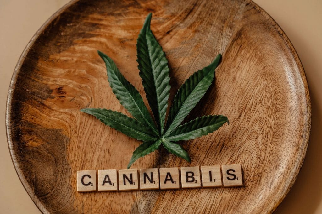 Beyond the Bud: The Role of a cannabis Dispensary in Promoting Wellness | Budderweeds Canada | Budderweeds Canada