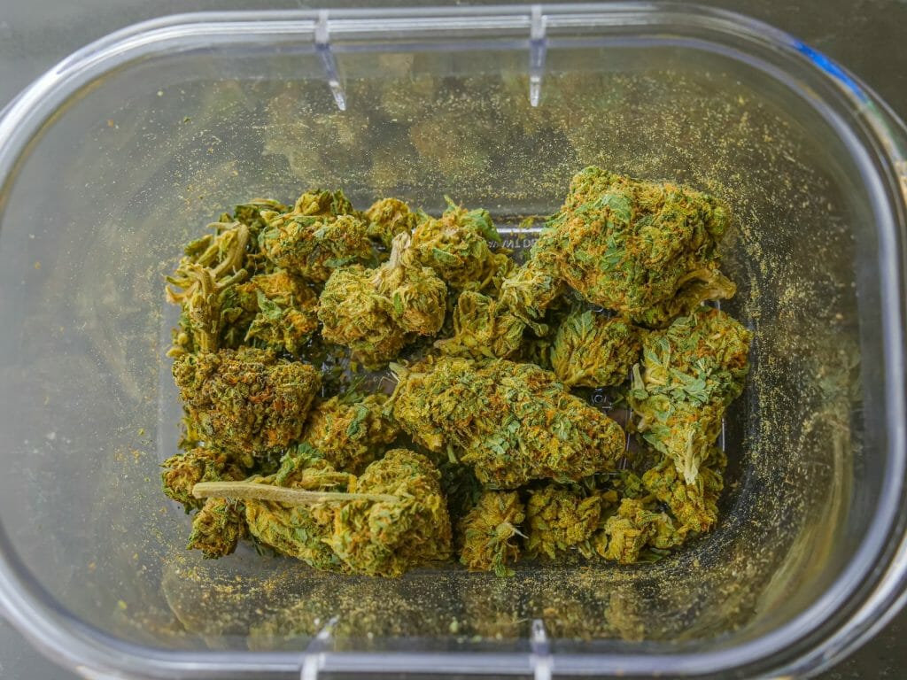 Best cannabis in Canada: Finding the Premium Hybrid Strains | Budderweeds Canada | Budderweeds Canada