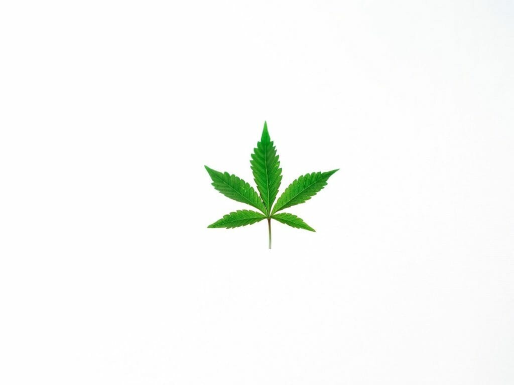 Benefits of Shopping in a BC cannabis Online Dispensary | Budderweeds Canada