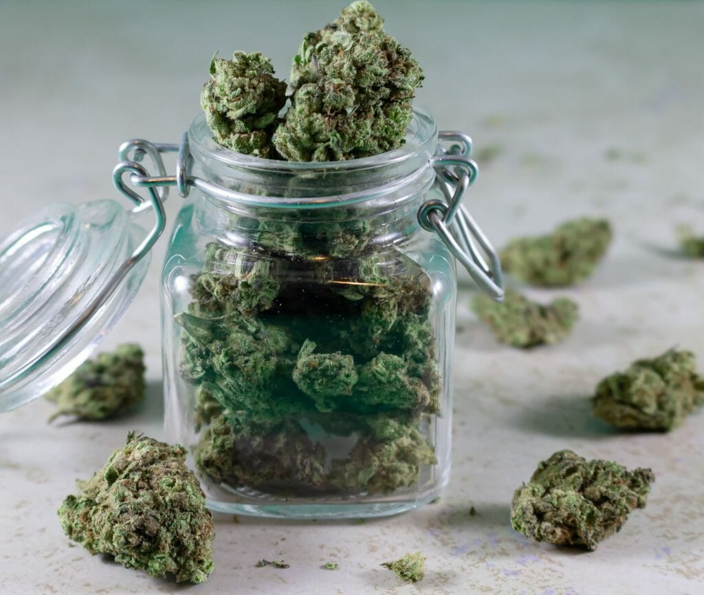 Bulk Weed: Unlocking the Power of Wholesale Cannabis | Budderweeds Canada | Budderweeds Canada