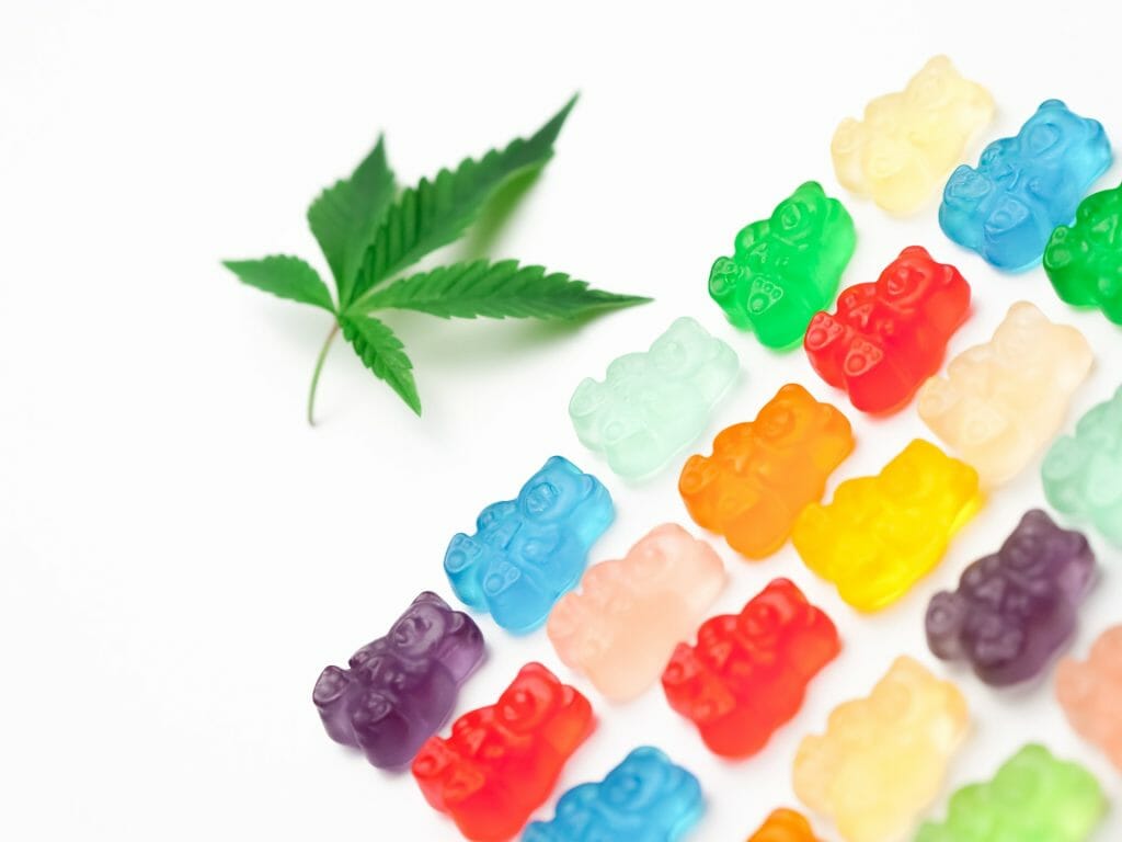 Edible Delights: A Guide to the Most Delicious cannabis in Edmonton | Budderweeds Canada | Budderweeds Canada