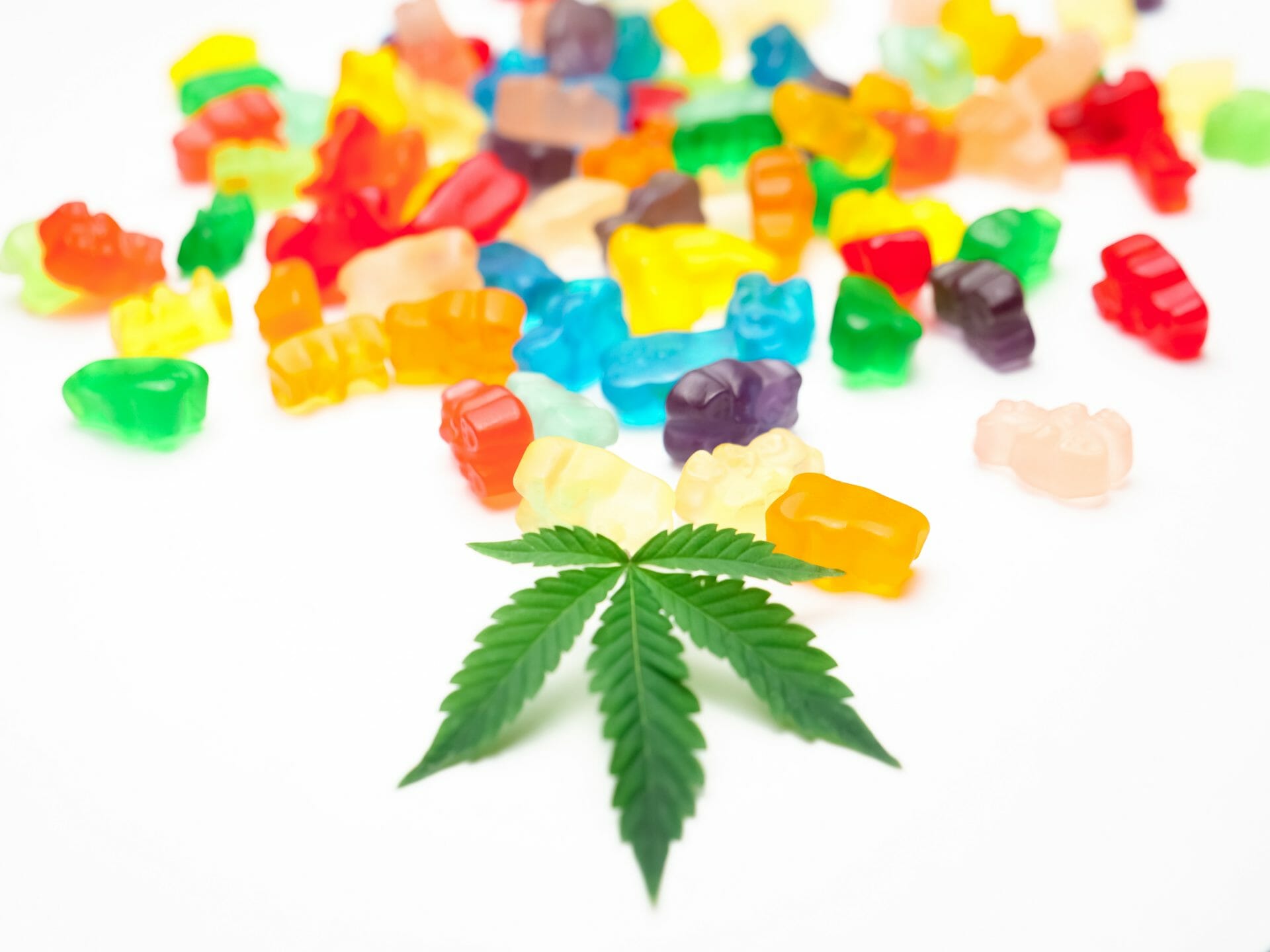 Weed Gummy | Budderweeds Canada