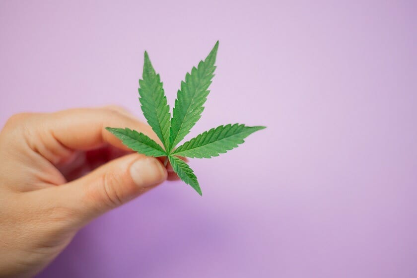 Discover How A cannabis Shop Helps You Better Understand Cannabis | Budderweeds Canada | Budderweeds Canada