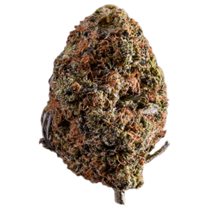 Afghan Kush | Budderweeds Canada