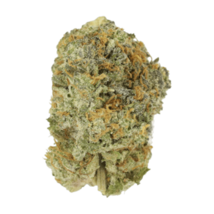 Slurricane | Budderweeds Canada