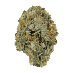 Chocolate Lava | Budderweeds Canada