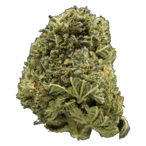 Cookies Kush | Budderweeds Canada