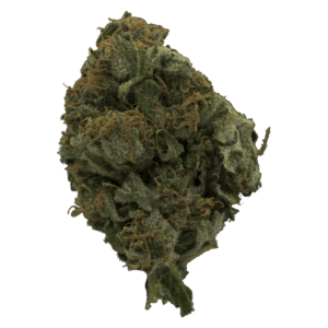 Glitter | Budderweeds Canada