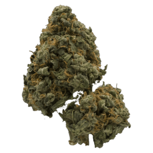 Mandarin Cookie (popcorn) | Budderweeds Canada