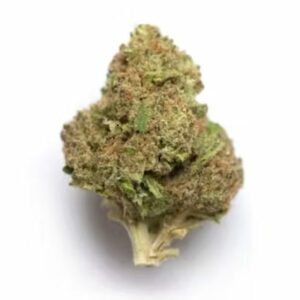 Supersonic | Budderweeds Canada