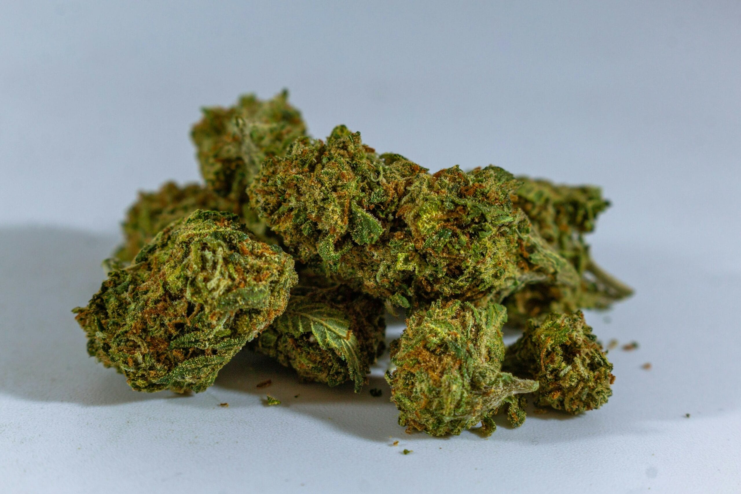 cheap-weed-online-canada | Budderweeds Canada